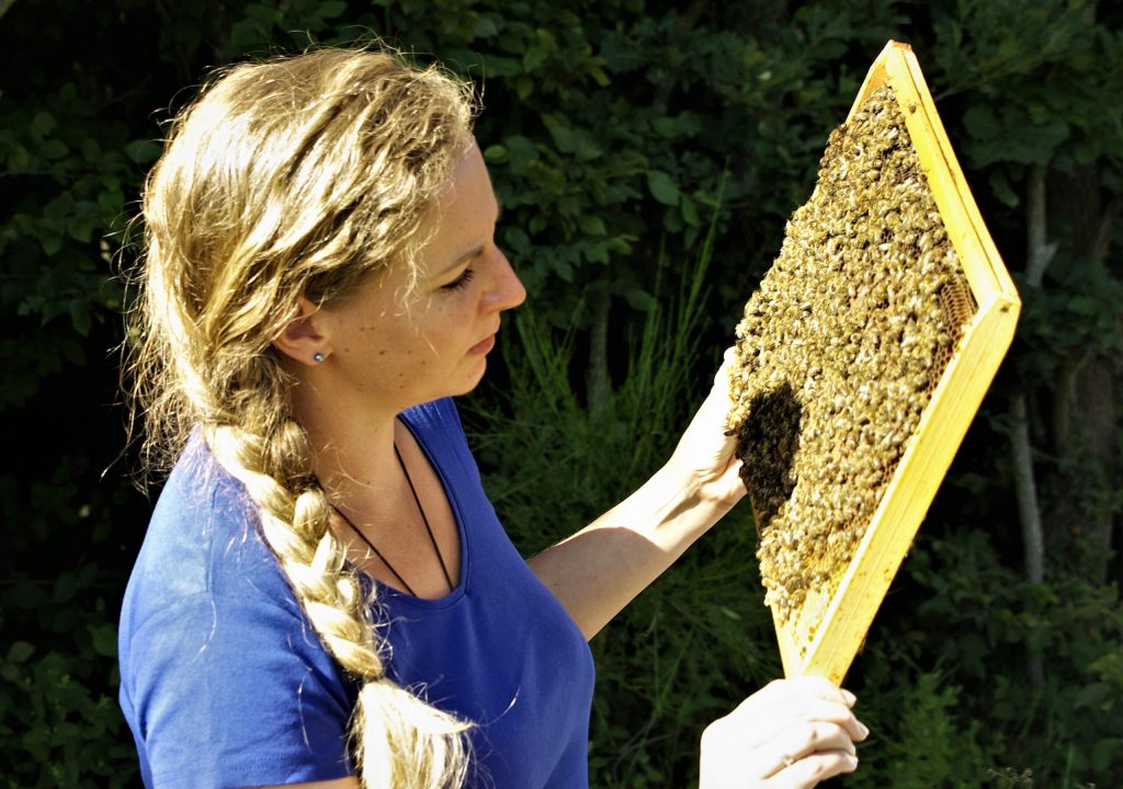Magali inspectant un rayon d'une ruche d'Happy Miel dans l'Ain